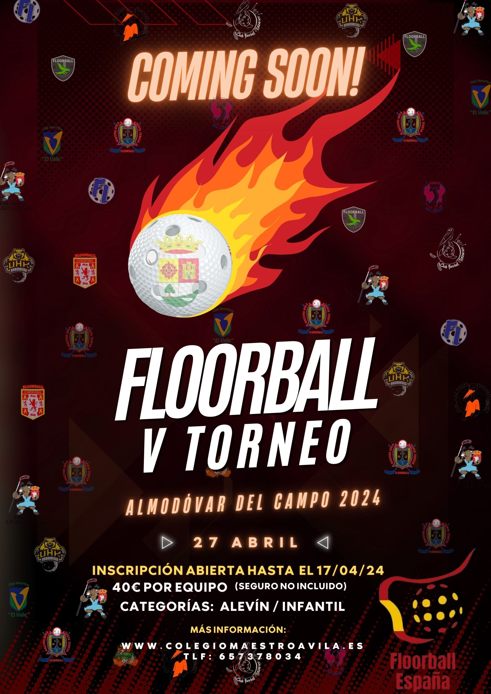 Cartel VTorneo