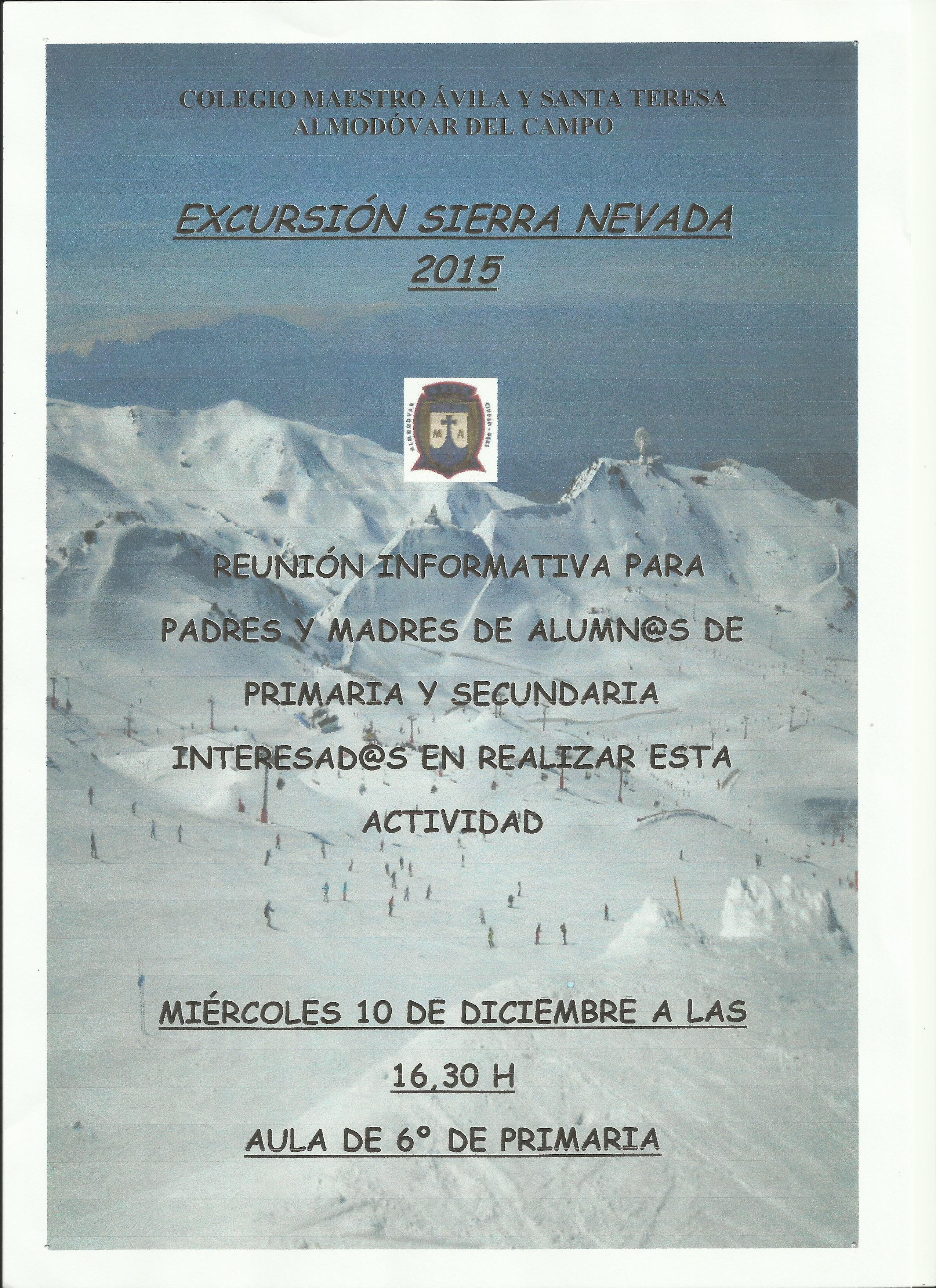 Cartel nieve 2015