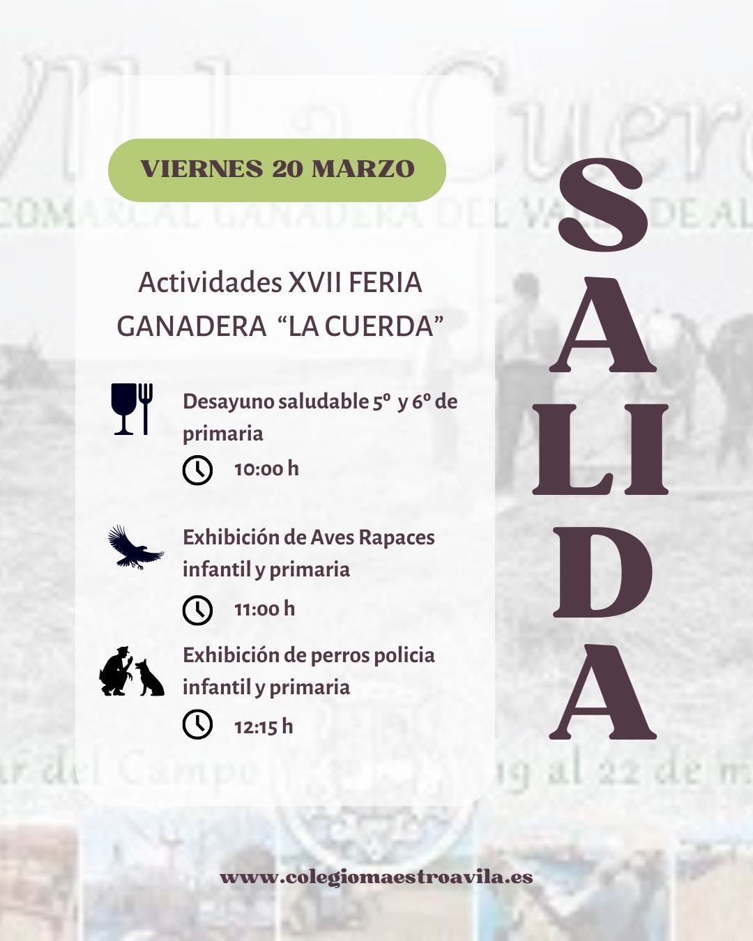 salida colegio viernes 20